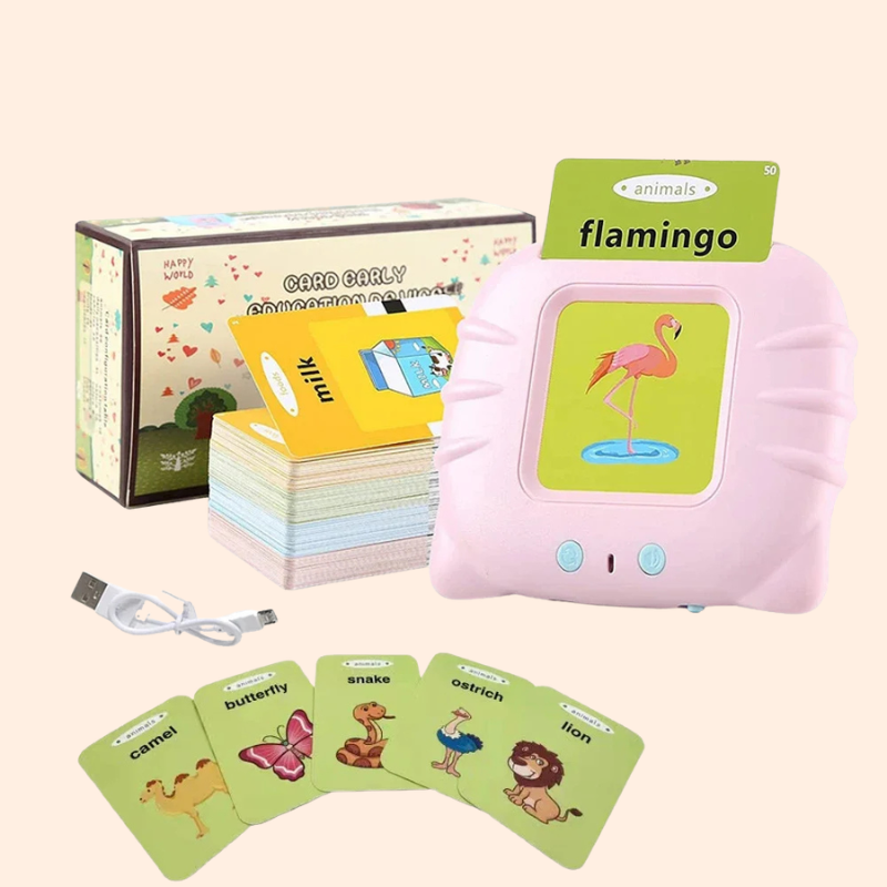 Lecteur de cartes parlantes