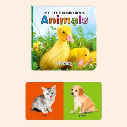 Livre cartes Bébé